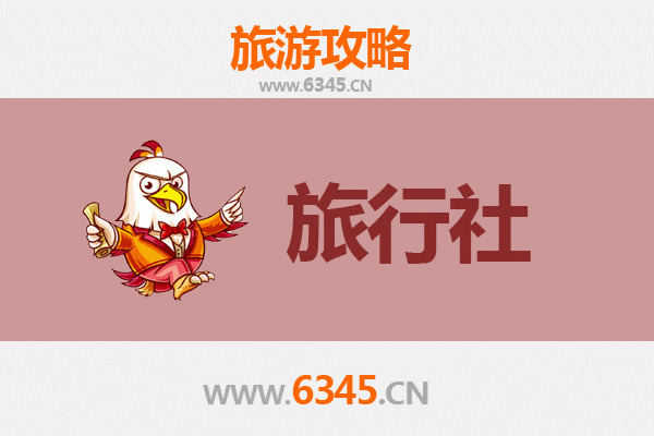 金华金东本地旅行社推荐及深度游玩攻略